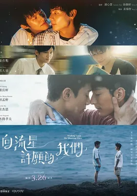 向流星许愿的我们封面图