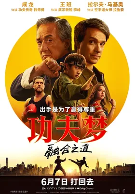功夫梦：融合之道