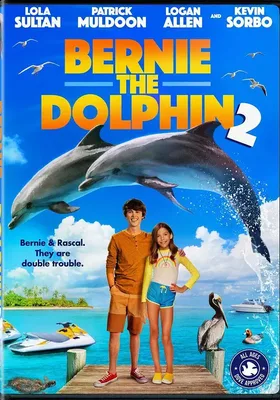 海豚伯尼2