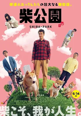 柴犬公园