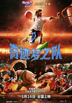奇迹梦之队封面图