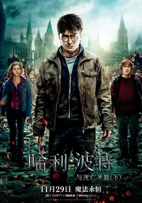 哈利·波特与死亡圣器(下)