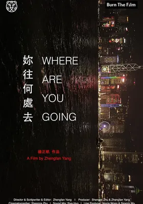 你往何处去