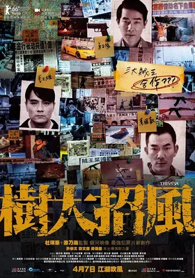 树大招风