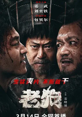 老狗