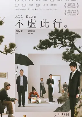 不虚此行