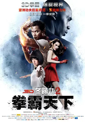 冬荫功2：拳霸天下