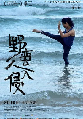 野蛮人入侵