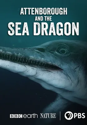 爱登堡和海龙
