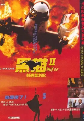 黑猫II：刺杀叶利钦