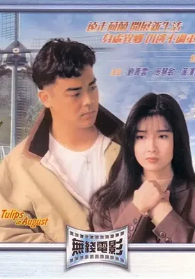 八月鬱金香