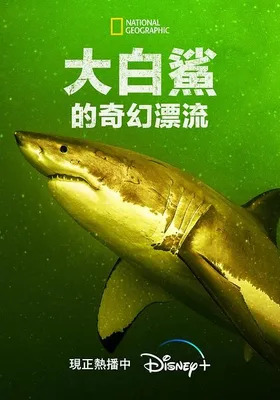 大白鲨的奇幻漂流