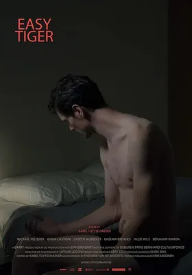 放纵虎