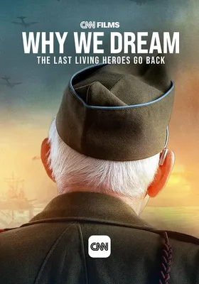 Why We Dream