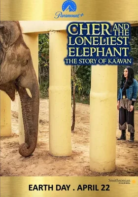 Cher and the Loneliest Elephant
