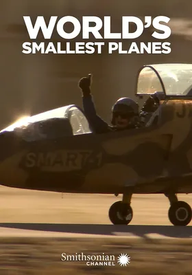 World's Smallest Planes