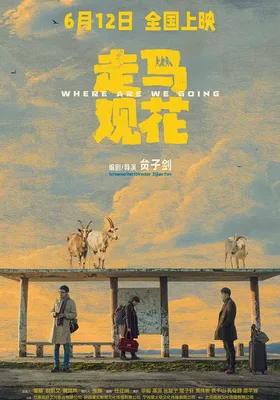 走马观花