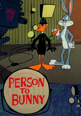 Person to Bunny